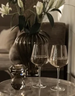 Specktrum Red Wine Blå Glas